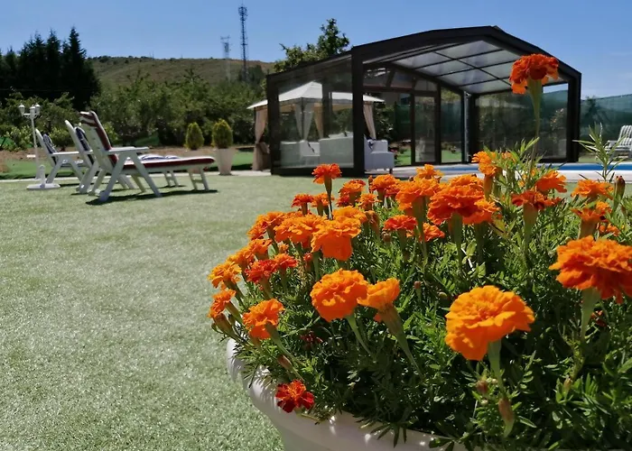 Elias 몰리나세카